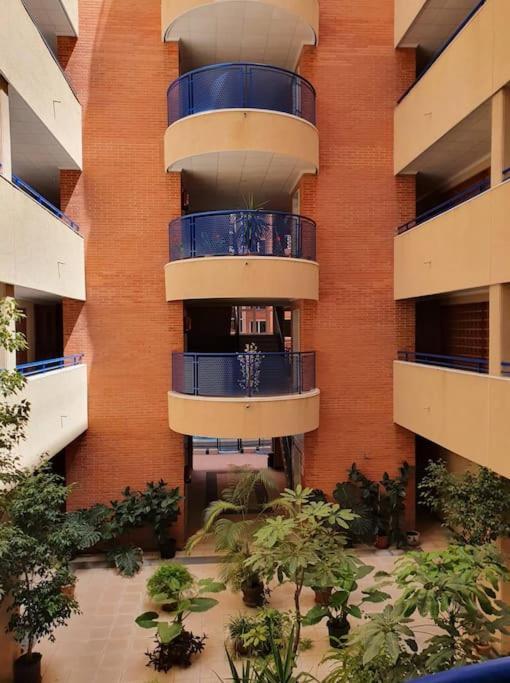 Spanish Style Apartment Near The Beach 托雷维耶哈 外观 照片